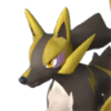 Rayhound icon